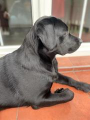 dcera2