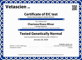 EIC