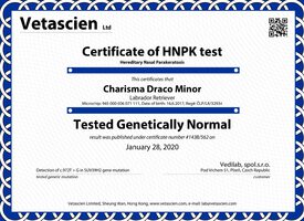 HNP